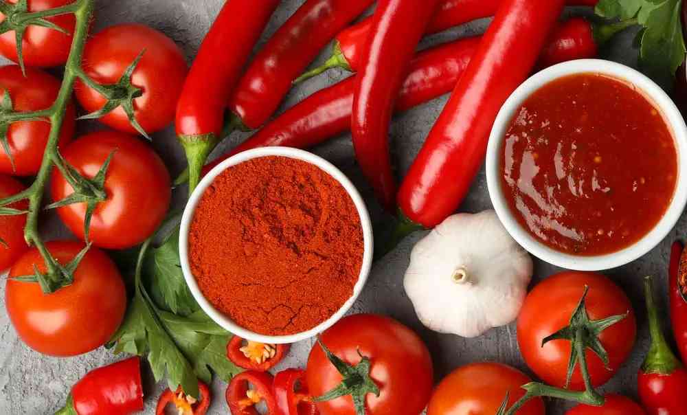 Crispy Tomato Sauce Powder/Leather