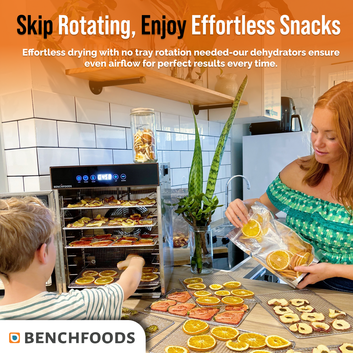 1 Zone / 10 Tray / 0.6m² Tray Area