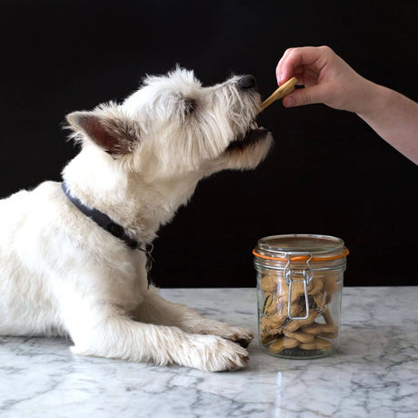 Food safety for dehydrated pet treats (UK)