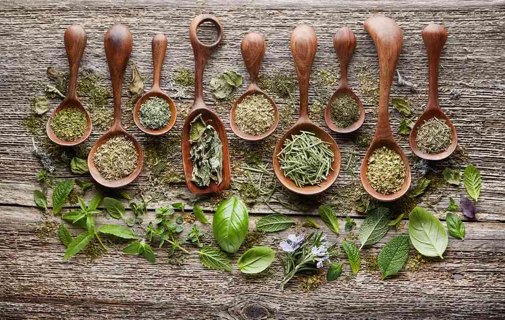 Dehydrating Herbs