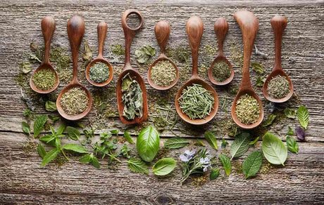 Dehydrating Herbs