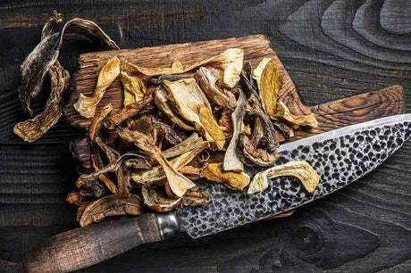 Dried Mushrooms Slices