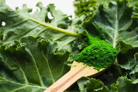 Powdered Kale