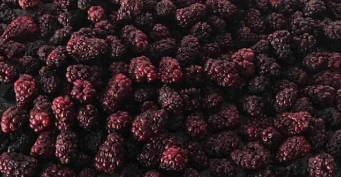 Dehydrated blackberries
